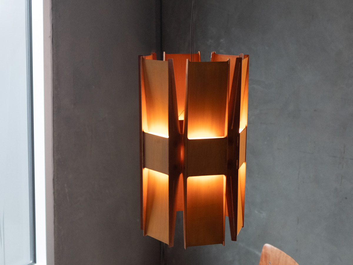 Vector Pendant Light