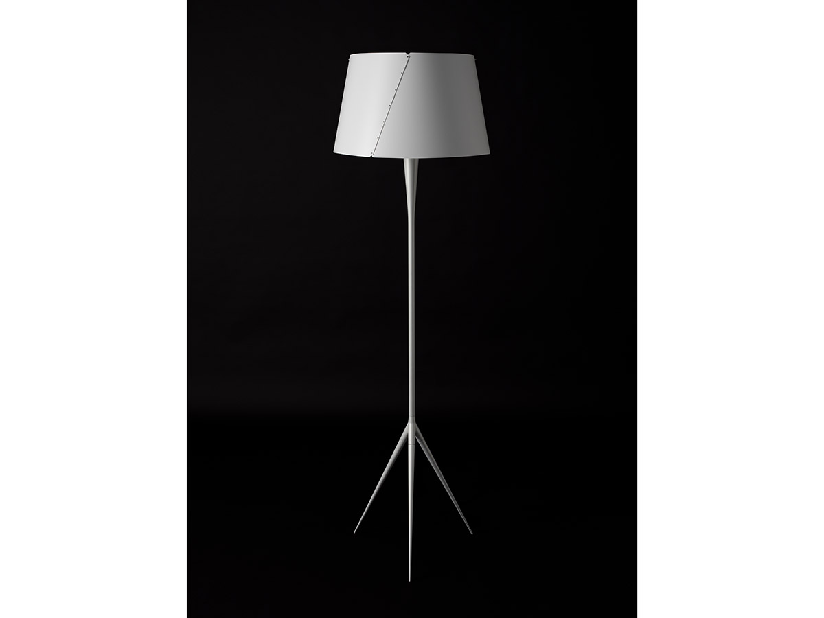 De-Lux Floor Lamp